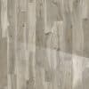 Kauri Catlins Polished 8 x 48 Porcelain Wood Look Tile